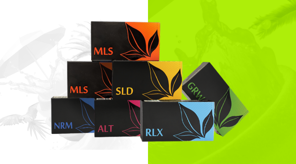 KIT "TO LIVE YOUR LIFE"