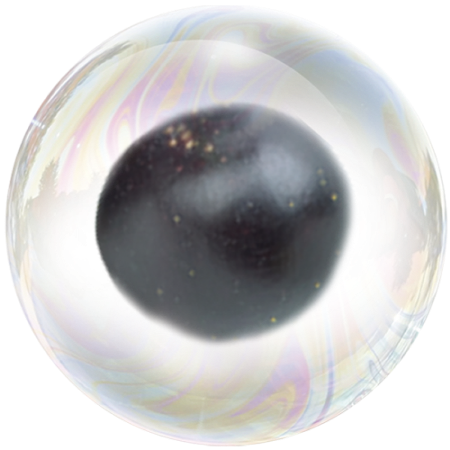 Blackcurrant fruit (Ribes nigrum) **   