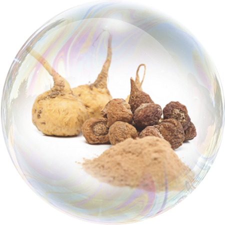 Перуанска мака (Lepidium meyenii) **