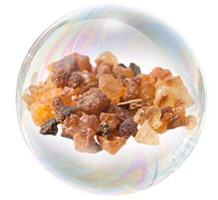 Екстрактът от Гугул