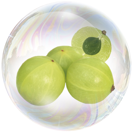 Амла (Phyllanthus emblica) **