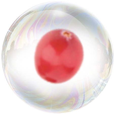 Cranberry (Vaccinium macrocarpon) **