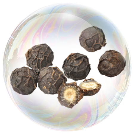 Черен пипер