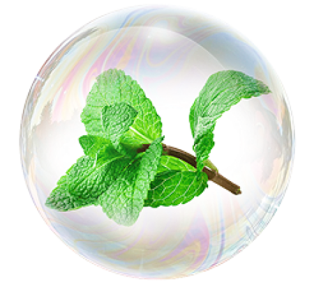 Екстракт от листа на Полска мента 