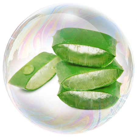 Алое вера (Aloe vera) **