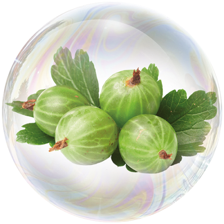 Цариградско грозде