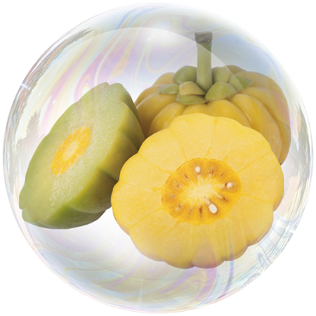 Гарциния (Garcinia cambogia)**