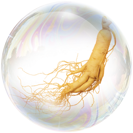 Ginseng (Panax ginseng)**
