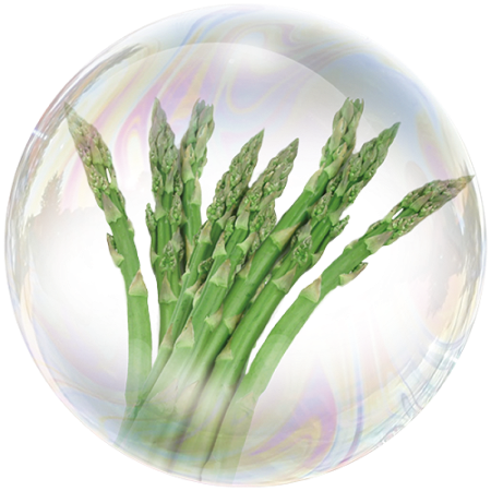 Fenugreek (Trigonella foenum graecum)**