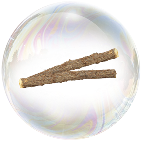 Корен от женско биле (Glycyrrhiza glabra) **