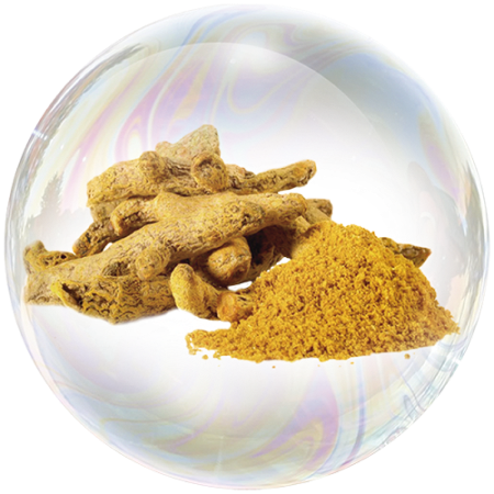 Куркума (Curcuma longa) **