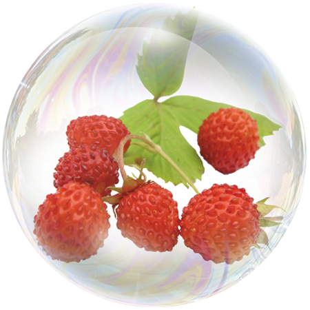 Горска ягода