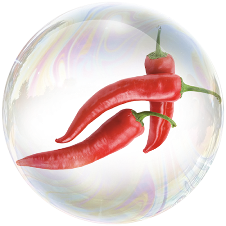 Червен пипер (Capsicum) **