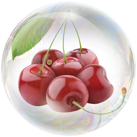 Вишня (Prunus cerasus) **