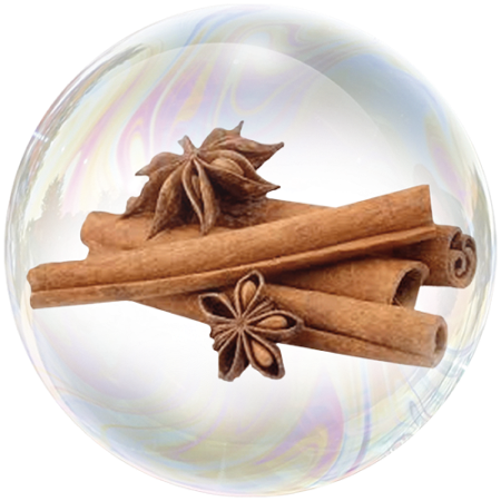 Cinnamon (Cinnamomum ceylanicum)**