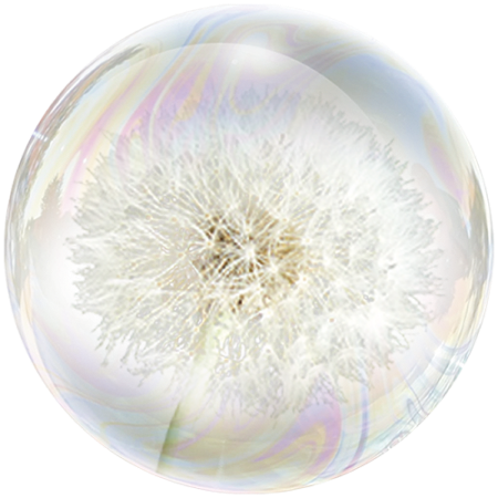 Глухарче (Taraxacum officinale)**