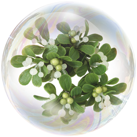 Имел (Viscum album)**