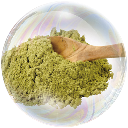 Конопено семе