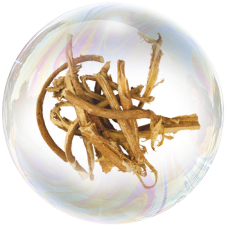 Витания (Withania somnifera) **