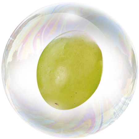 Плодове от грозде (Vitis vinifera) **