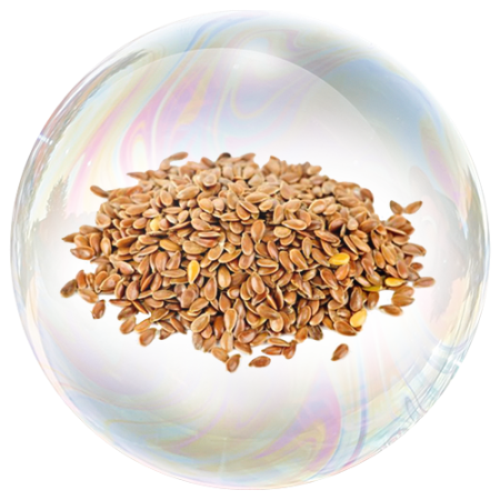 Ленено семе (Linum usitatissimum) **