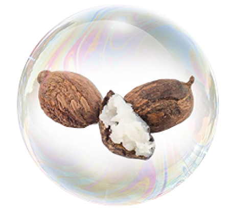 Маслото от шей